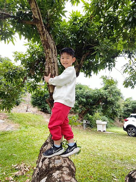 【南投露營】歡慶聖誕馬力歐派對主題風X南投草屯大衛營露營農場