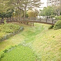 20110109-050.jpg