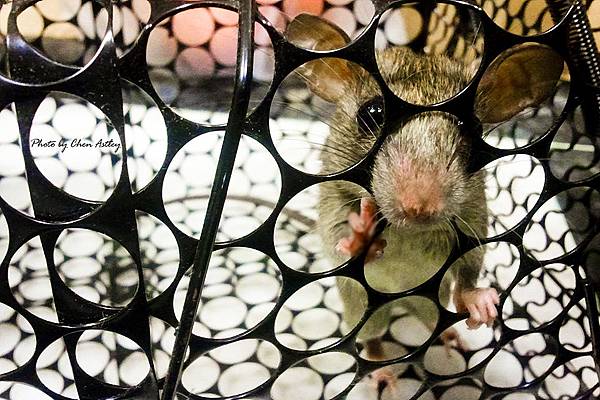 2012-06-26 23.03.36.jpg