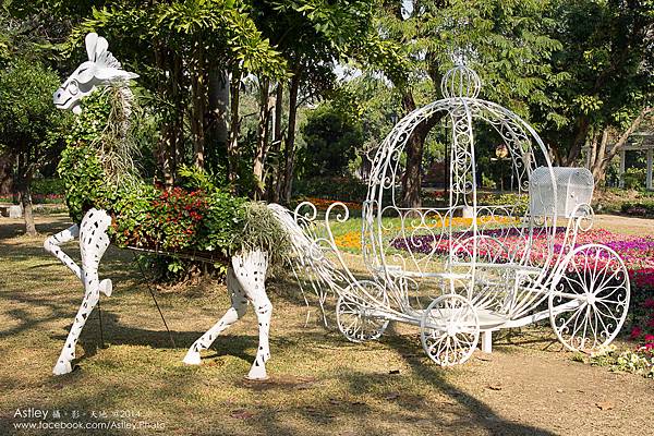 DSC01770 小南瓜馬車.jpg