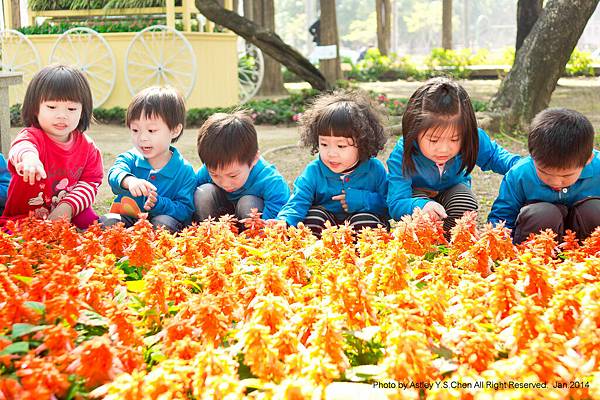 DSC01795 賞花趣.jpg