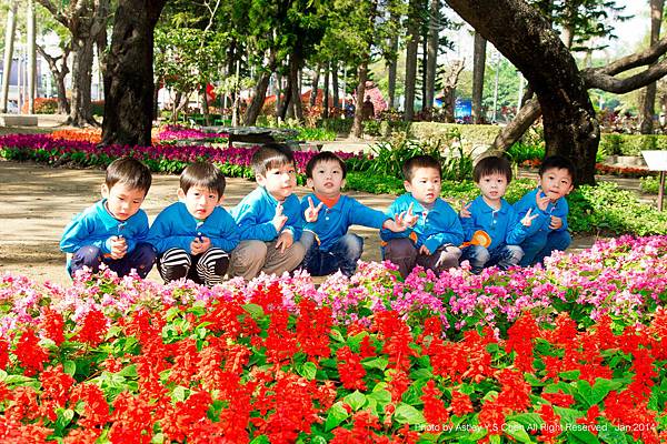 DSC01818 七王子.jpg