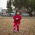 20110220-039.jpg