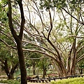 20110110-026.jpg