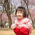 20110312-016.jpg