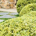 20110423-060.jpg