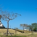 20110320-047.jpg