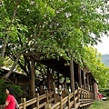 20110403-084.jpg