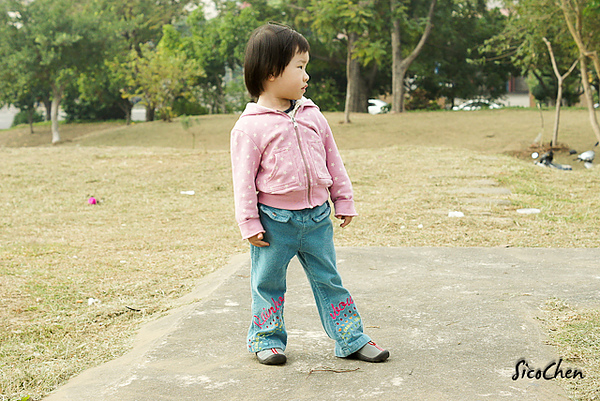 20101205-001.jpg