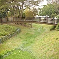 20110109-051.jpg