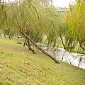 20110109-059.jpg