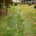 20110109-056.jpg