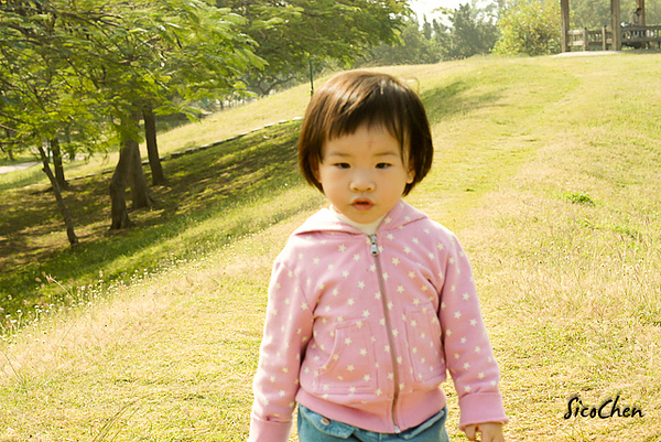 20101204-020.jpg
