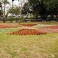 20110110-015.jpg