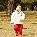 20110110-032.jpg