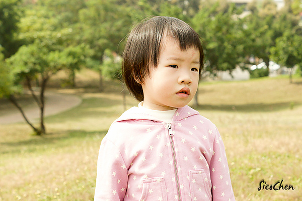 20101204-037.jpg