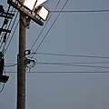 20110226-041.jpg