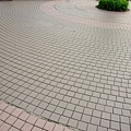 20110524-032.jpg