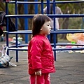 20110220-025.jpg