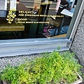 20110227-021.jpg