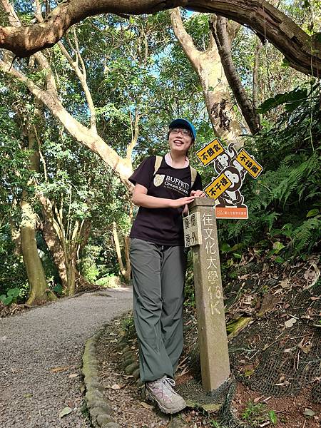 猴猴3不政策2 猴猴3不政策2