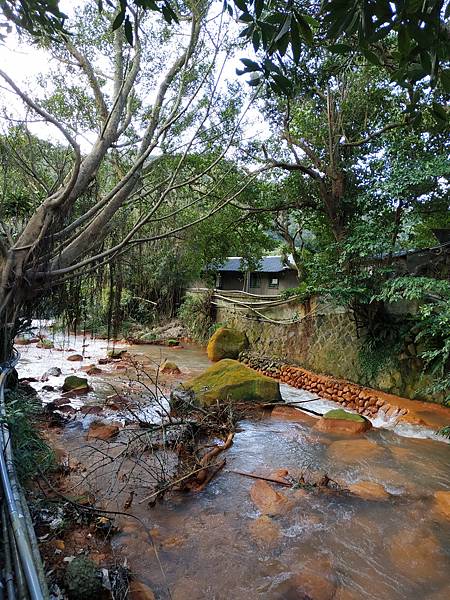 IMG_20210122_090931.jpg IMG_20210122_090931.jpg