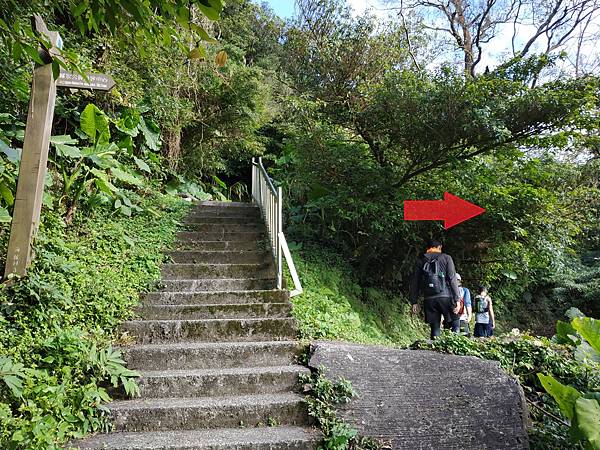 右轉陽明山遊客中心 右轉陽明山遊客中心