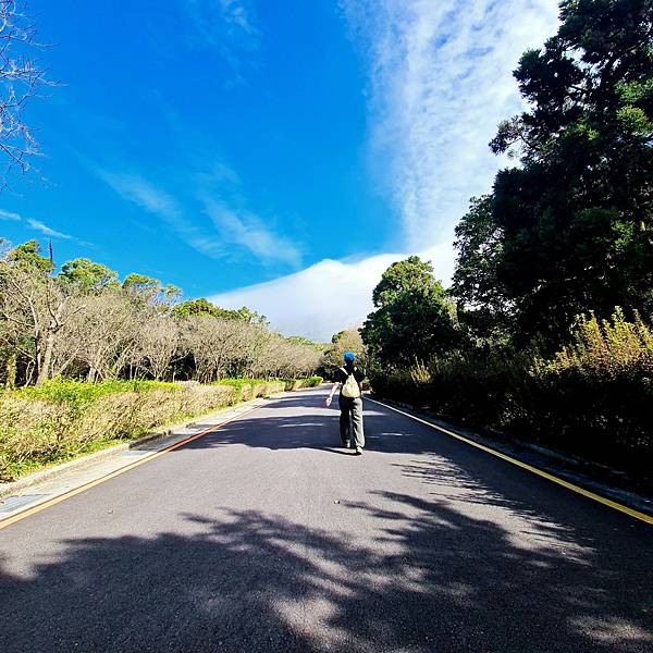 上七星山前的產業道路0122_210204 上七星山前的產業道路0122_210204