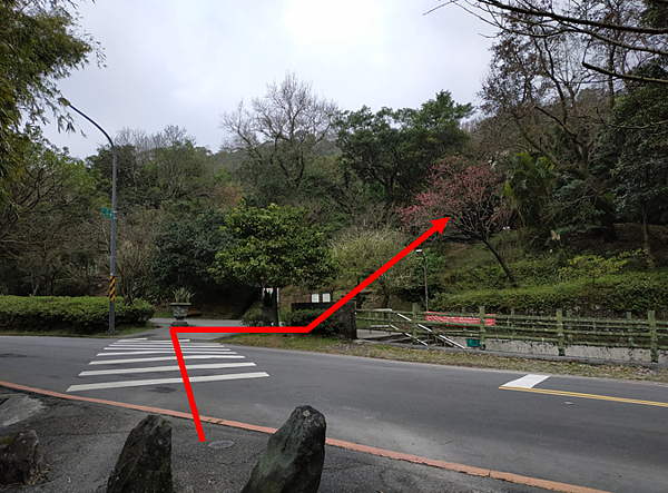 小路.PNG 小路.PNG