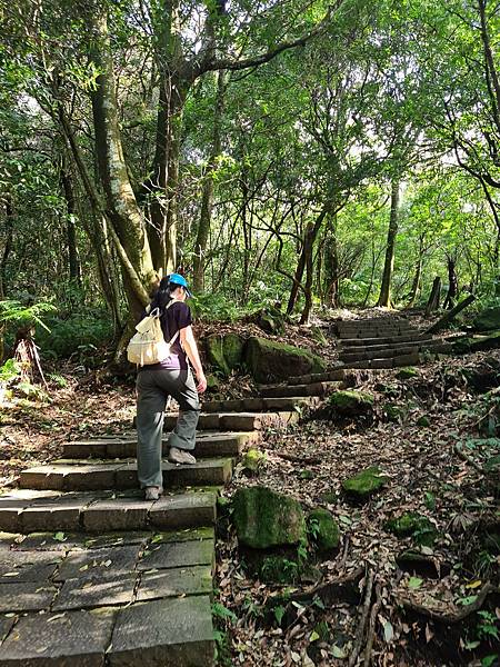 前往苗圃的路上2.jpg 前往苗圃的路上2.jpg