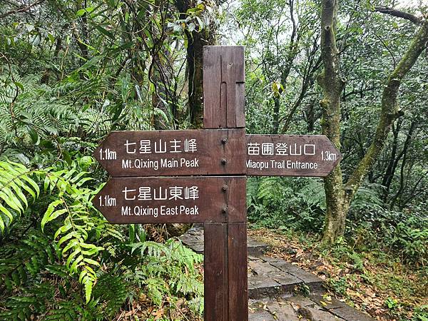 七星山主峰和七星公園岔路2.jpg 七星山主峰和七星公園岔路2.jpg