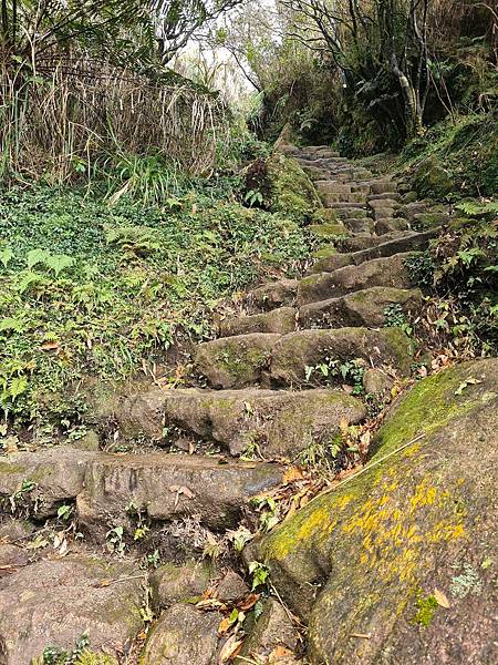 苗圃陡上6 苗圃陡上6