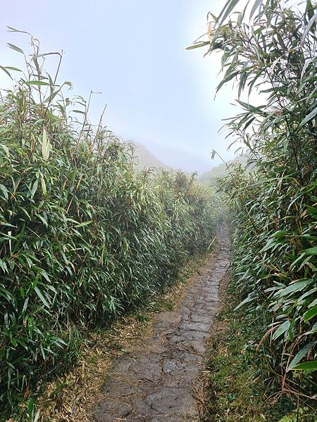 快到七星山的緩坡2.jpg 快到七星山的緩坡2.jpg