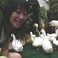 看完BIRD SHOW.jpg