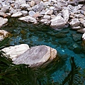 nEO_IMG_38870016.jpg