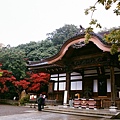 94330028