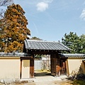 DSC_1164.jpg