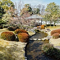 DSC_1187.jpg