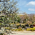 DSC_1200.jpg