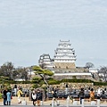 DSC_1226.jpg