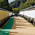 DSC_1114.jpg