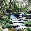 DSC_1132.jpg