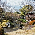 DSC_1186.jpg