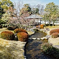 DSC_1187.jpg