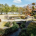DSC_1188.jpg