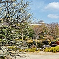 DSC_1200.jpg
