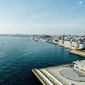DSC_1261.jpg