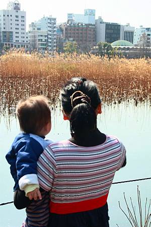 IMG_6871s.jpg IMG_6871s.jpg