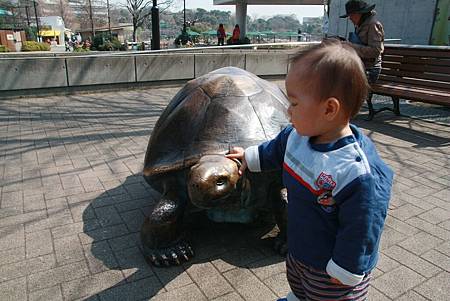 IMG_6894s.jpg IMG_6894s.jpg