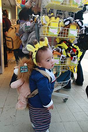 IMG_6919s.jpg IMG_6919s.jpg
